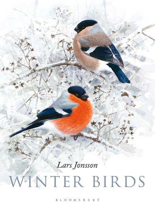 Cover image for Winter Birds